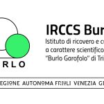 Modelli in 3D per studiare la gravidanza nelle donne con fibrosi cistica