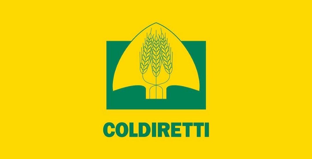 CALDO: COLDIRETTI, SCATTA LA CACCIA AI PORCINI, IL VADEMECUM “ACCHIAPPA FUNGHI”