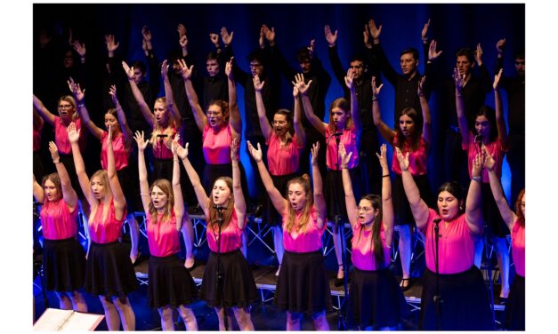 MUSICA E PAROLE: GLI OVERTWELVE IN SCENA AL KULTURNI DOM DI NOVA GORICA