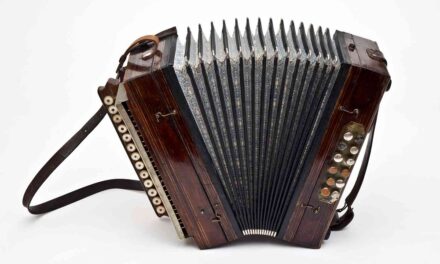 MERCOLEDÌ 26 MARZO ALLE ORE 17.30 A PALAZZO GOPCEVICH “LA FISARMONICA” PER LA RASSEGNA “LE STANZE DELLA MUSICA ALLO SCHMIDL”