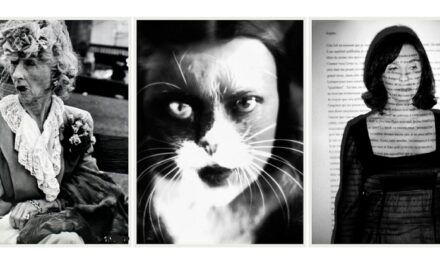 TI GUARDO/MI VEDO: fotografia, rappresentazione, identificazione, aperte le iscrizioni al workshop