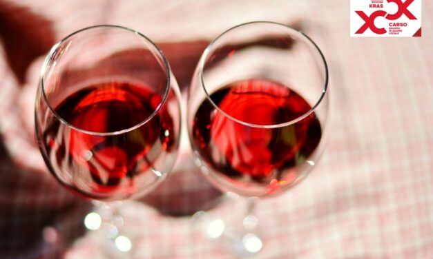 GAL CARSO-LAS KRAS – WINE SCHOOL VINI ROSSI DEL CARSO SPRING EDITION: FINO A DOMENICA RIUNITI SUL CARSO TRANSFRONTALIERO GIORNALISTI ED ESPERTI NAZIONALI PER CONOSCERE I VINI AUTOCTONI
