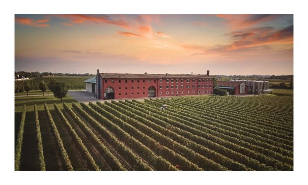 Con il suo Pinot Bianco pluripremiato, Le Monde porta il Friuli più autentico a un pubblico globale