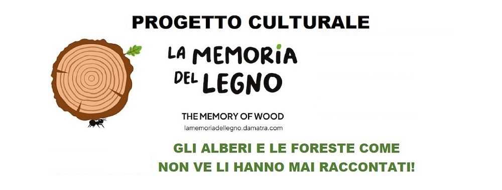 LA FORESTA DEI GIUSTI: PRESENTATA LA SECONDA EDIZIONE DEL PROGETTO PROMOSSO DA DAMATRÀ ONLUS
