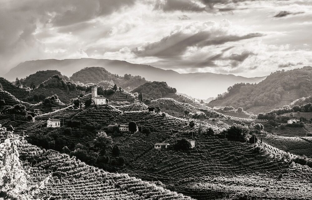 AMORIM CORK ITALIA La mostra “Il Passo del Viandante” arriva nel cuore della DOCG Valdobbiadene