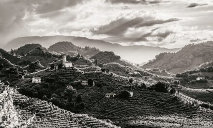 AMORIM CORK ITALIA La mostra “Il Passo del Viandante” arriva nel cuore della DOCG Valdobbiadene