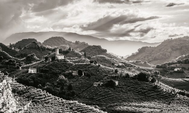 AMORIM CORK ITALIA La mostra “Il Passo del Viandante” arriva nel cuore della DOCG Valdobbiadene