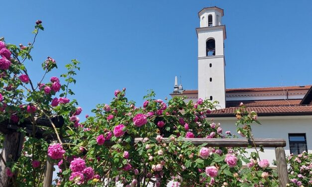 A NOVA GORICA LA 20ª EDIZIONE DEL FESTIVAL DELLE ROSE