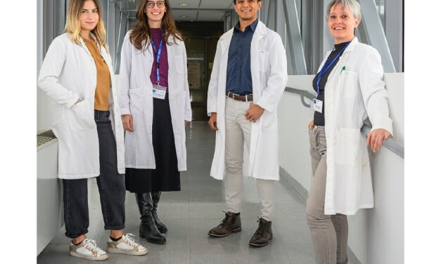 Il ruolo della bilirubina nel danno cerebrale neonatale e nella malattia di Parkinson: da una ricerca della Fondazione Italiana Fegato dati interessanti sull’uso di una nuova formulazione della curcumina liposomiale