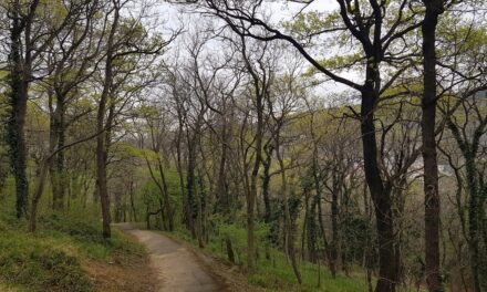 SABATO 5 APRILE L’APPUNTAMENTO DI “PASSEGGIANDO S’IMPARA” SARÀ DEDICATO A “KNOWING THE BOSCHETTO: AN EXTRAORDINARY CITY FOREST”