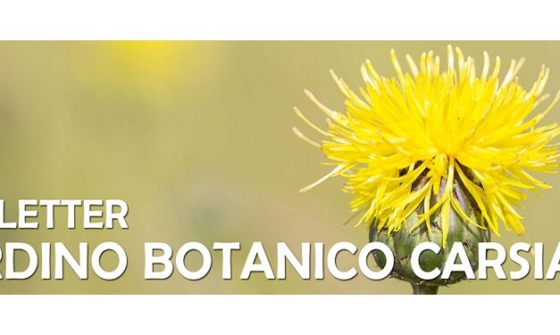 Il Giardino BOTANICO CARSIANA riapre al pubblico!