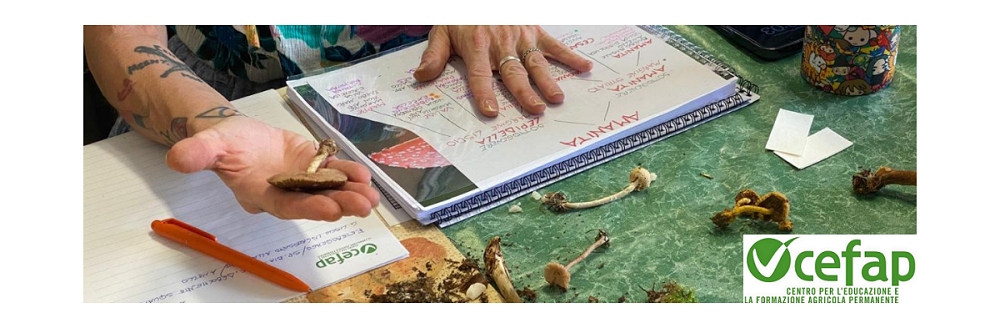 AL CEFAP DI CODROIPO AL VIA IL CORSO TECNICO MICOLOGO II ANNUALITÀ FORMAZIONE AVANZATA IN MICOLOGIA