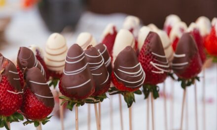 FESTIVAL DEL CIOCCOLATO A RADOVLJICA (SLO)