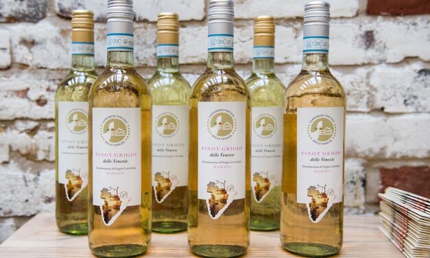 Vinitaly: dati e analisi per il futuro del vino