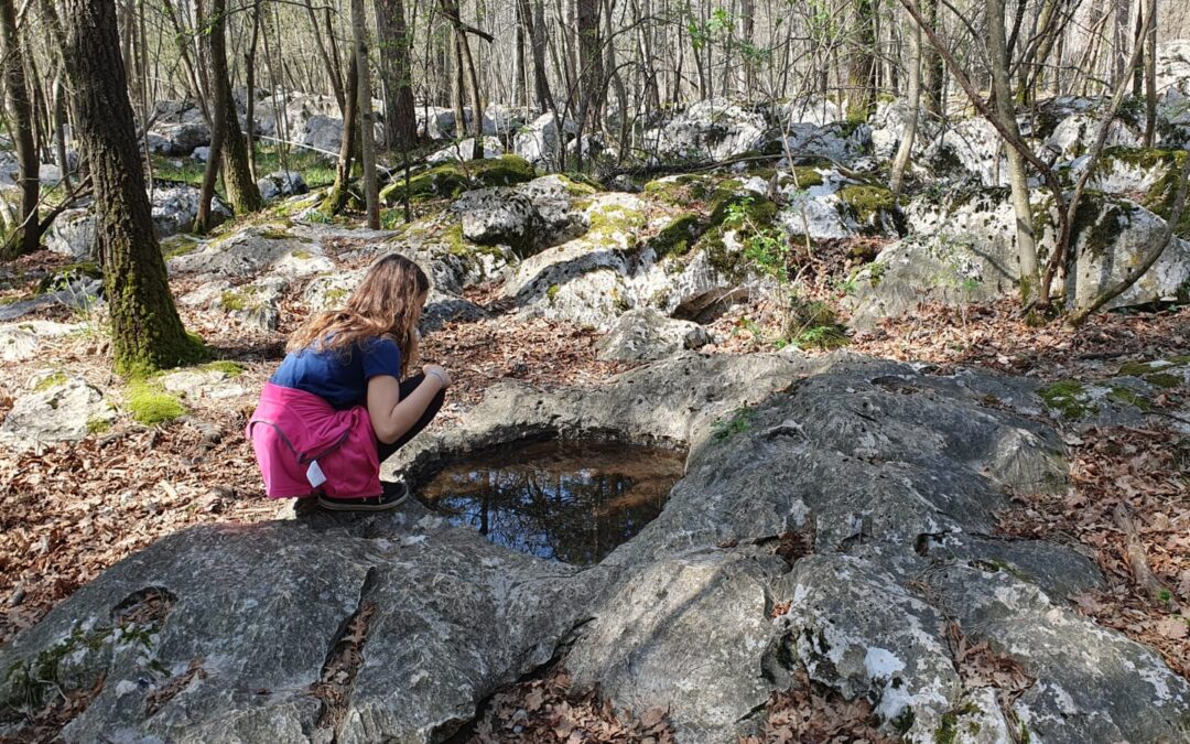 Passeggiando s’impara: il 12 aprile alla scoperta del Carso Classico di Basovizza
