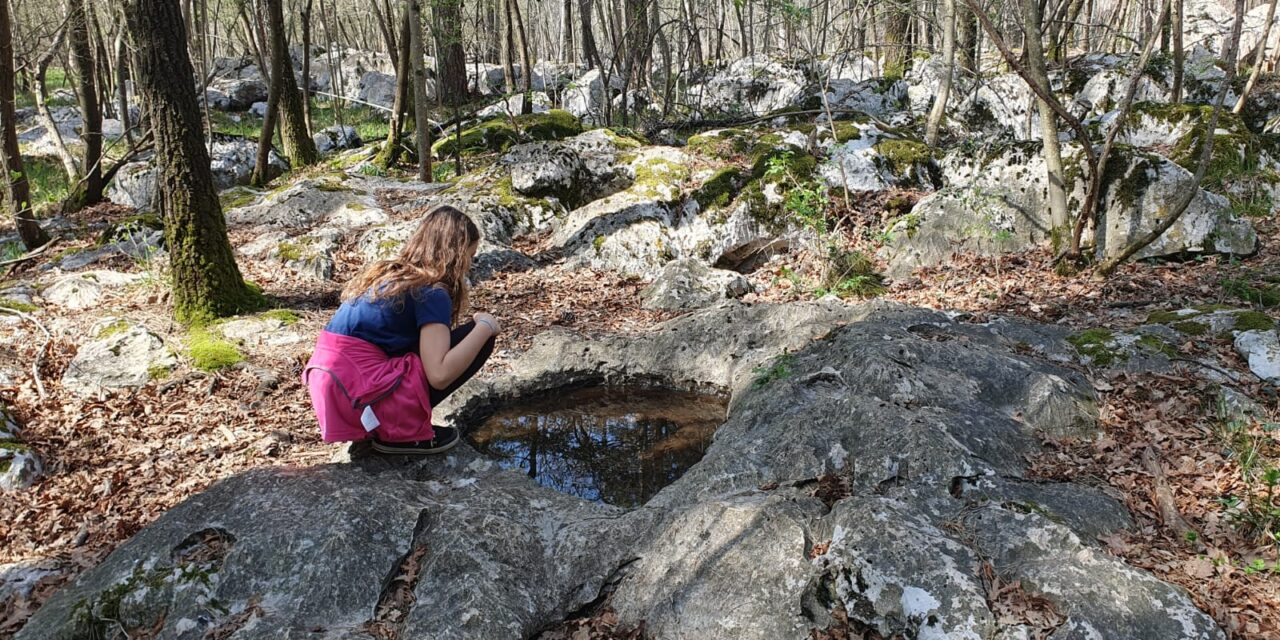 Passeggiando s’impara: il 12 aprile alla scoperta del Carso Classico di Basovizza