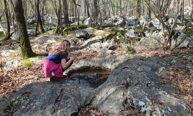 Passeggiando s’impara: il 12 aprile alla scoperta del Carso Classico di Basovizza