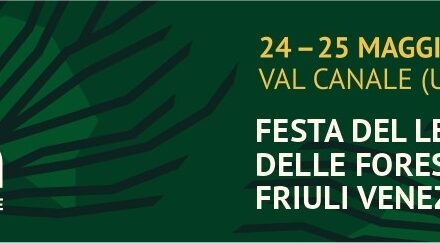 Foresta in Valle “sale” in Val Canale