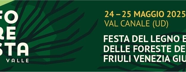 Foresta in Valle “sale” in Val Canale