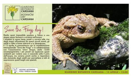 Save the frogs! al Giardino botanico Carsiana