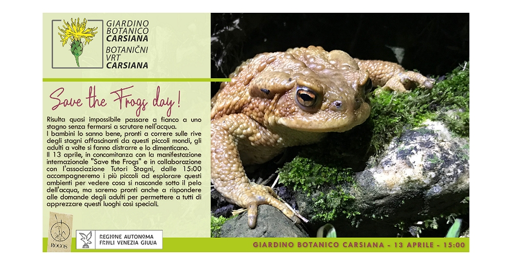 Save the frogs! al Giardino botanico Carsiana