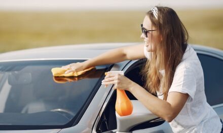 Questi sono i fattori che rendono più difficile la guida in primavera