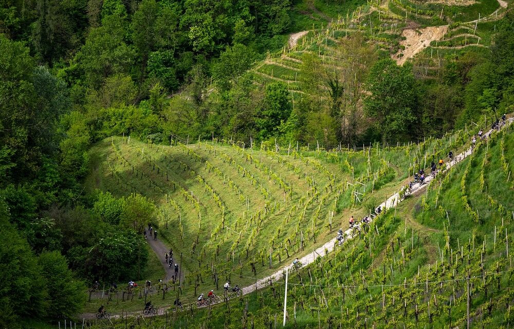 NOVA Eroica Prosecco Hills 2025: 1500 ciclisti da tutto il mondo celebrano la bellezza della fatica