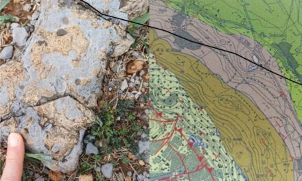 Passeggiando si impara 2025: sabato 26 aprile “Al mare a Trebiciano. Tra pesci e rettili fossili di 70 milioni di anni fa”