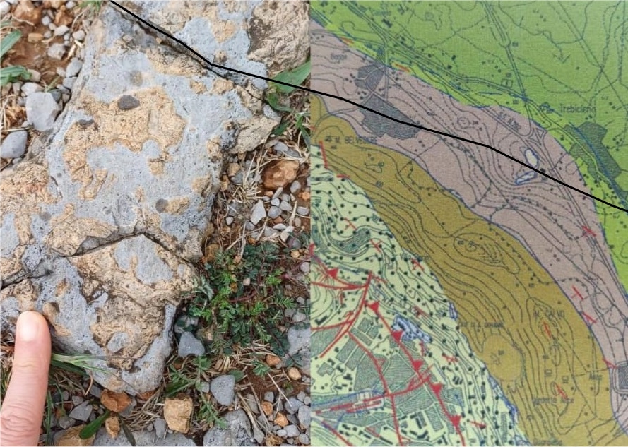 Passeggiando si impara 2025: sabato 26 aprile “Al mare a Trebiciano. Tra pesci e rettili fossili di 70 milioni di anni fa”