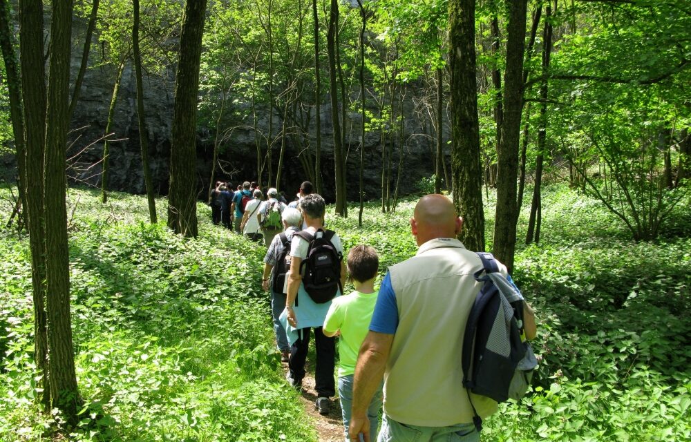 “PIACEVOLMENTE CARSO”: DOMENICA 4 MAGGIO (ore 9.30-13) facile escursione panoramica sul MONTE CARSO