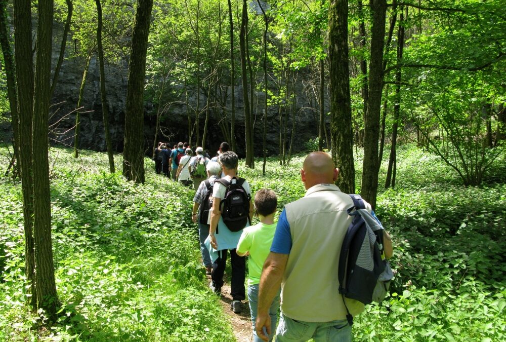 “PIACEVOLMENTE CARSO”: LUNEDÌ 21 APRILE, PASQUETTA escursione “Da Sgonico alla Grotta dell’Orso” con Curiosi di natura, per la “Primavera della Mobilità Dolce”