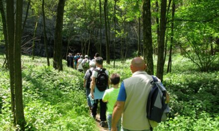 “PIACEVOLMENTE CARSO”: DOMENICA 4 MAGGIO (ore 9.30-13) facile escursione panoramica sul MONTE CARSO