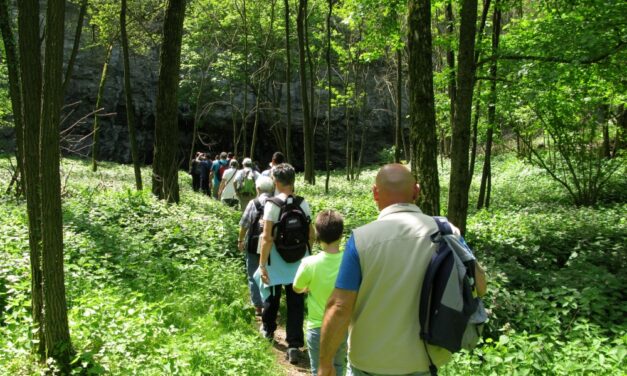 “PIACEVOLMENTE CARSO”: DOMENICA 4 MAGGIO (ore 9.30-13) facile escursione panoramica sul MONTE CARSO
