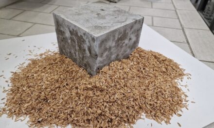 PIETRA PIASENTINA E LOLLA DI RISO PER RIDURRE L’ANIDRIDE CARBONICA NELLA PRODUZIONE DI MATERIALI EDILI: IL PROGETTO DELL’UNIVERSITÀ DI UDINE CON ALPACEM