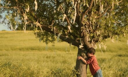 ShorTS International Film Festival: il Libano al centro del focus riservato al cinema breve dei Paesi che si affacciano sul Mediterraneo