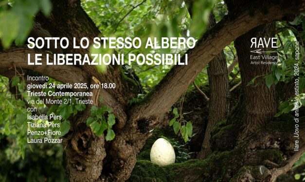 SOTTO LO STESSO ALBERO: LE LIBERAZIONI POSSIBILI, INCONTRO A TRIESTE CONTEMPORANEA
