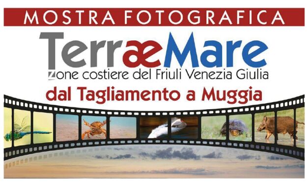 FINO AL 4 MAGGIO SONO VISITABILI IN PORTO VECCHIO – PORTO VIVO DUE MOSTRE: NELLA SALA SBISÀ “ASFERICO” E NELLA SALA FINI “TERRAEMARE”