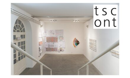 Seminario “l’Atlante Mnemosyne e il contemporaneo. Note da un’indagine tra arte e metodo” allo Studio Tommaseo
