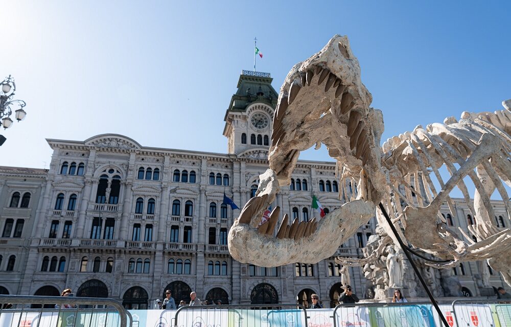 SPORT E FESTA CON LA TRIESTE SPRING YOUNG, IN PIAZZA UNITÀ OLTRE 1500 BAMBINI E BAMBINE