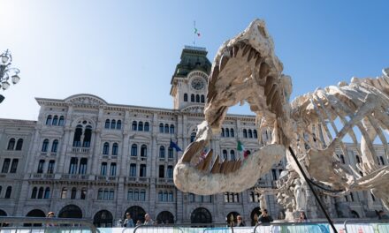SPORT E FESTA CON LA TRIESTE SPRING YOUNG, IN PIAZZA UNITÀ OLTRE 1500 BAMBINI E BAMBINE