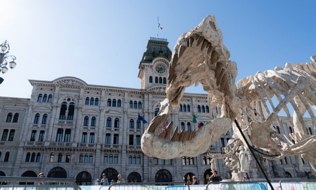 SPORT E FESTA CON LA TRIESTE SPRING YOUNG, IN PIAZZA UNITÀ OLTRE 1500 BAMBINI E BAMBINE
