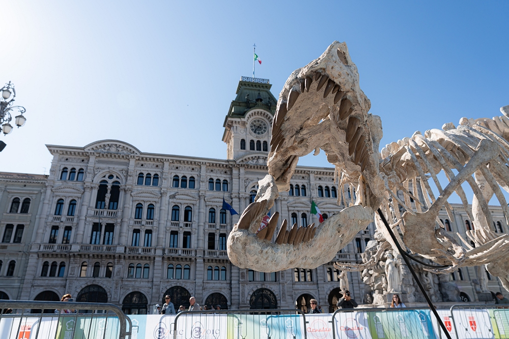 SPORT E FESTA CON LA TRIESTE SPRING YOUNG, IN PIAZZA UNITÀ OLTRE 1500 BAMBINI E BAMBINE