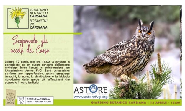 Scoprendo gli uccelli del Carso al Giardino botanico Carsiana