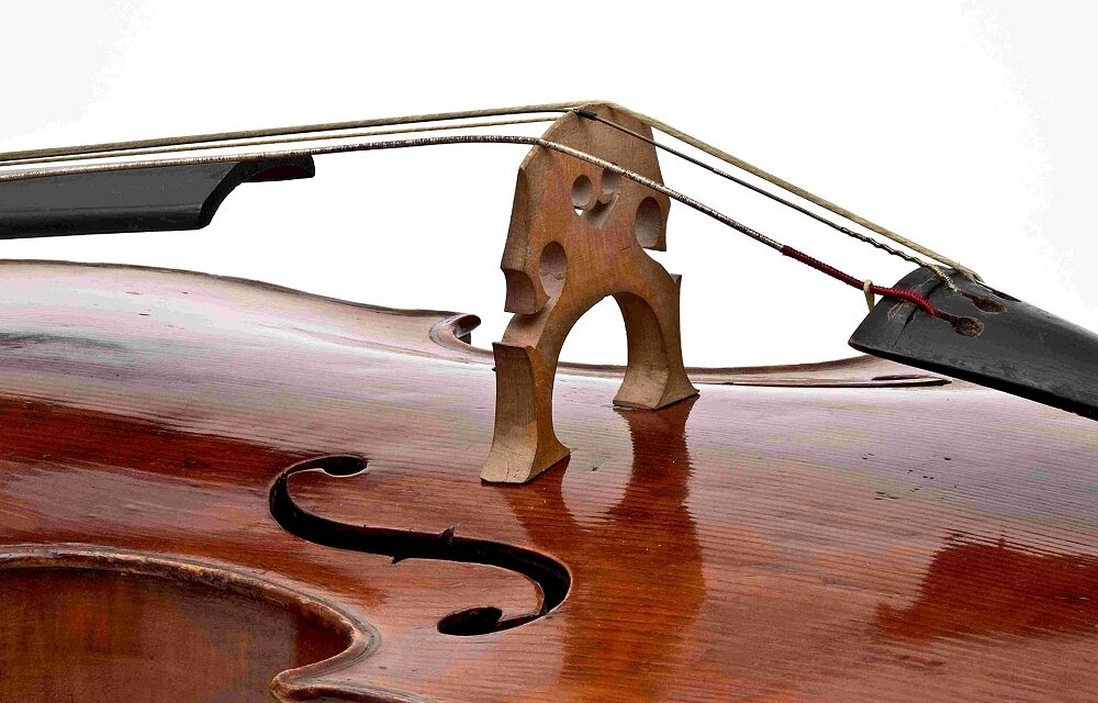 LE STANZE DELLA MUSICA: MERCOLEDÌ 16 APRILE ALLE 17.30 A PALAZZO GOPCEVICH “IL VIOLONCELLO”