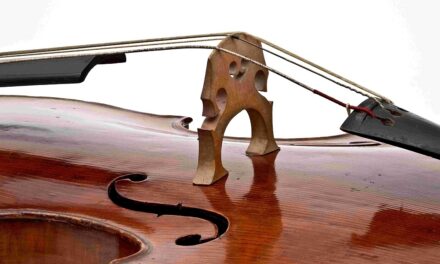 LE STANZE DELLA MUSICA: MERCOLEDÌ 16 APRILE ALLE 17.30 A PALAZZO GOPCEVICH “IL VIOLONCELLO”