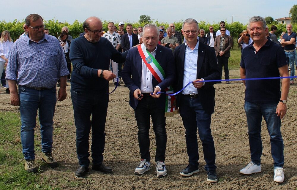 Un agrivoltaico avanzato in Friuli Venezia Giulia