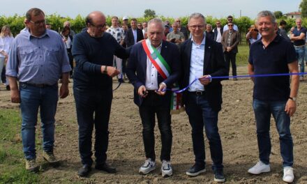 Un agrivoltaico avanzato in Friuli Venezia Giulia