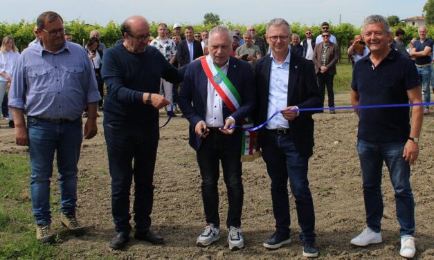 Un agrivoltaico avanzato in Friuli Venezia Giulia