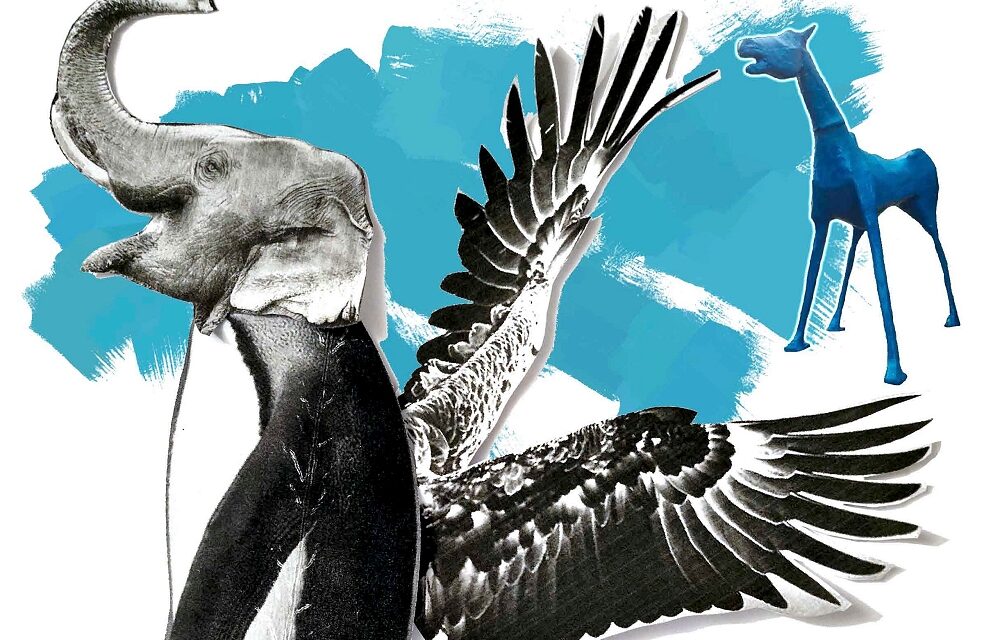 AL CENTRO DI SALUTE MENTALE DI DOMIO LA MOSTRA CON I LAVORI DEL LABORATORIO “ALTRI ANIMALI FANTASTICI”