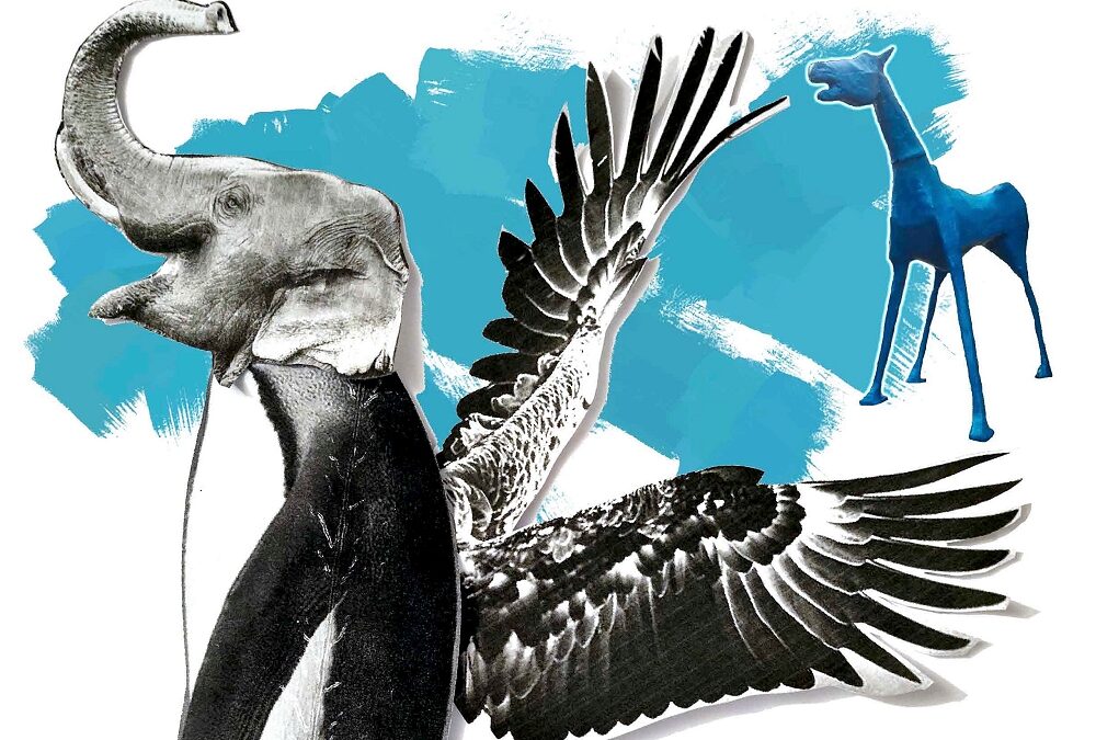AL CENTRO DI SALUTE MENTALE DI DOMIO LA MOSTRA CON I LAVORI DEL LABORATORIO “ALTRI ANIMALI FANTASTICI”